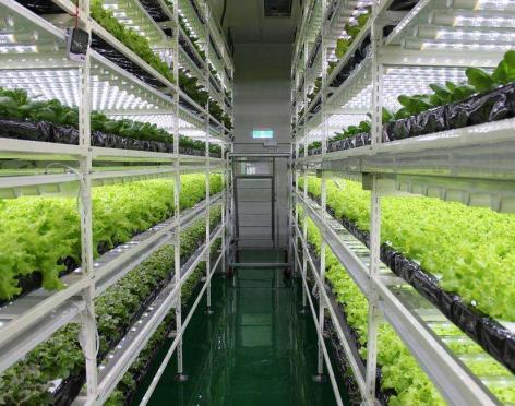 組培實驗室裝修工程：建筑平面布置和結(jié)構(gòu)技術(shù)