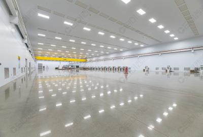 研究揭示肺炎免疫新機(jī)制，為臨床診治提供新靶點